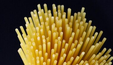 Gli Usa rivedono al ribasso i dazi antidumping sulla pasta: dal 91,74%, passano al 2,26% per La Molisana, al 13,98% per Garofalo e al 9,09% per gli altri 11 produttori (e hanno rinviato quelli sui mobili)