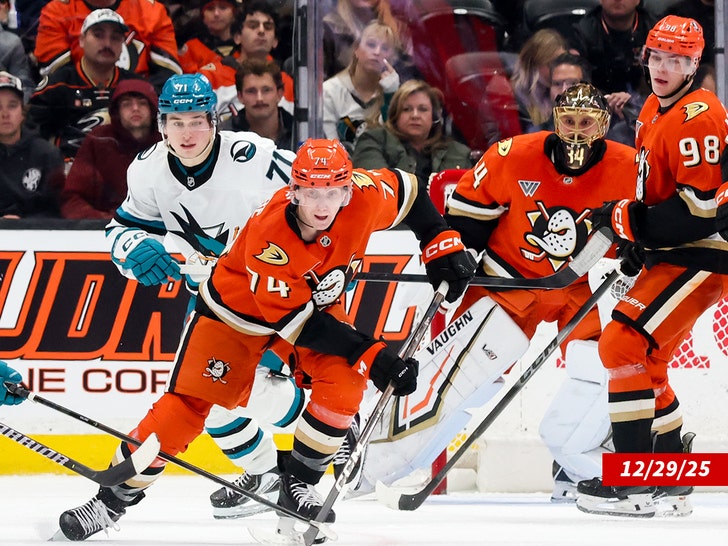 anaheim ducks getty