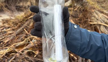 Message in a bottle from ELI