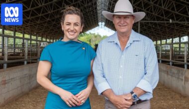 Land council chair calls for block on appointment of incoming NT administrator David Connolly