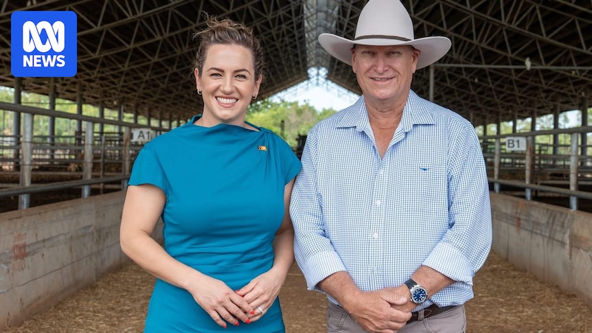 Land council chair calls for block on appointment of incoming NT administrator David Connolly