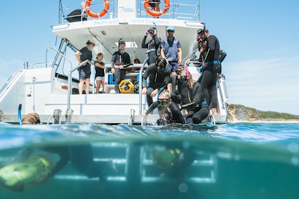 Ready to enter the water.