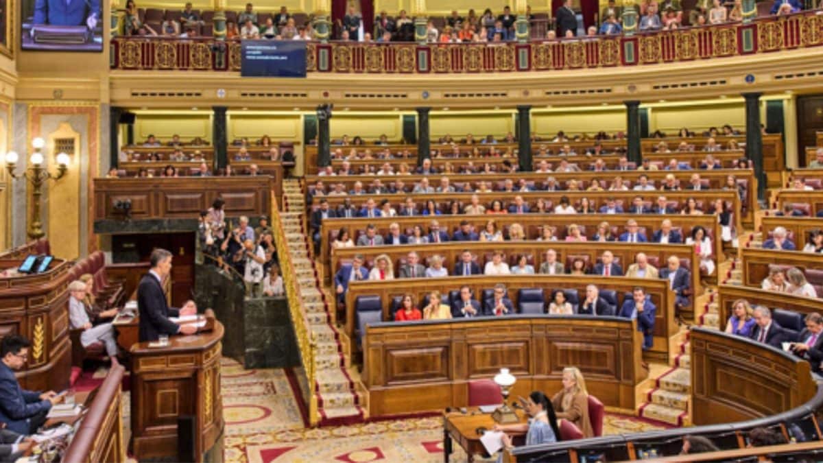 'Will Not Look Other Way': Spain To Grant Legal Status To 500,000 Undocumented Immigrants | World News