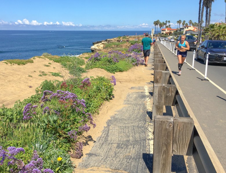 The cliffs narrow right before Sunset Cliffs Boulevard splits at Cordova Street and heads south to Ladrea Street. Runners, walkers, and cyclists have little room next to vehicles in this stretch. (Photo by Thomas Melville/Peninsula Beacon)