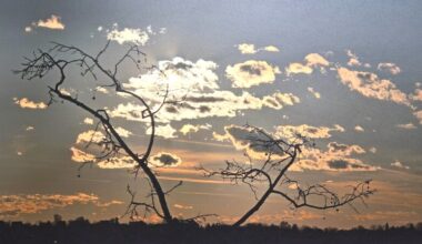 Papp Levente fotóin az