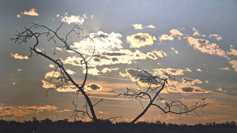 Papp Levente fotóin az