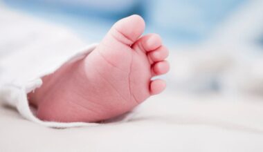 Portugal registou em 2025 o maior número de nascimentos da última década