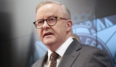 Anthony Albanese's five per cent deposit scheme is also likely to support price growth by driving up demand