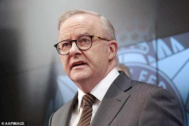 Anthony Albanese's five per cent deposit scheme is also likely to support price growth by driving up demand