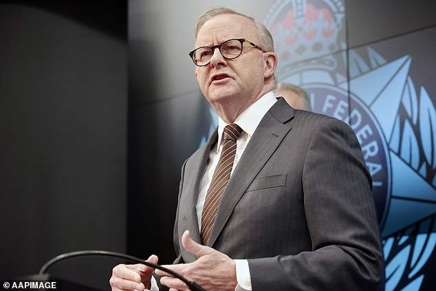 Anthony Albanese's government introduced the social media ban in early December