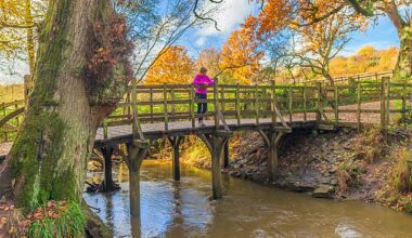 Pooh Bridge in Ashdown Forest in East Sussex. The forest was the inspiration for Hundred Acre Wood in the beloved stories by AA Milne