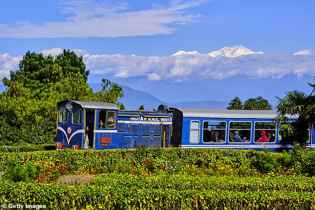 The 'toy train' that connects New Jalpaiguri and Darjeeling