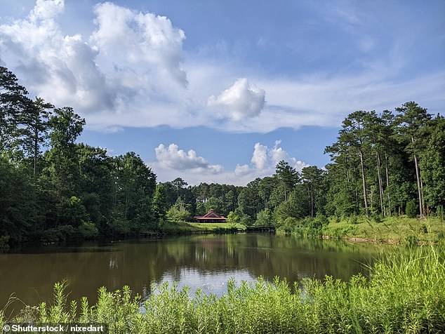 Fans can venture to plenty of other Stranger Things filming spots and experience the beloved series in real life, including the Chattahoochee Hills (pictured) where Radio station WSQK 94.5FM is