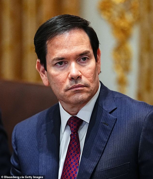 The internet has appeared to become obsessed with unofficially hiring Rubio for a new job every time the head of a country, local politician, or coach of a sports team leaves their post