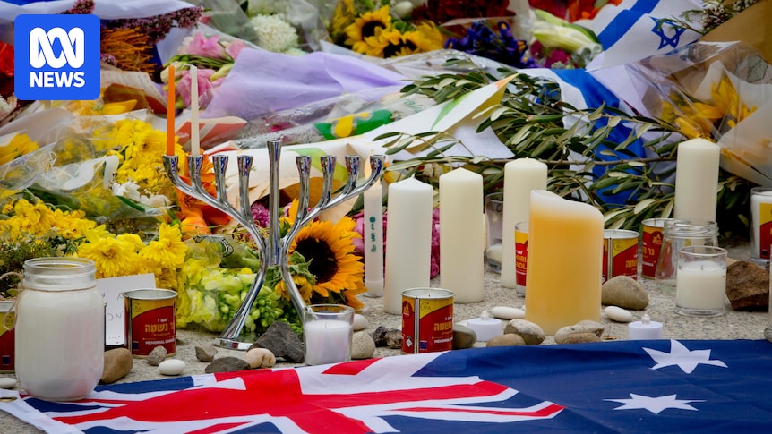 Sport stars call for federal royal commission into antisemitism and Bondi attack