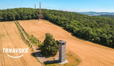 Slovensko hľadá historicky prvú Alej roka. Vo finále bojujú o titul aj aleje z nášho kraja
