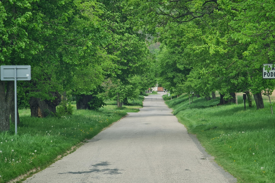 Alej v Plaveckom Podhradí I Foto: Martin Hris