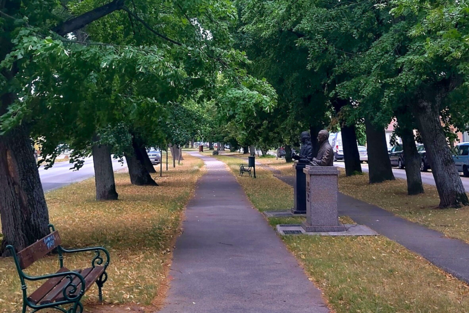 Modranská alej I Zdrój: Marek Ochaba