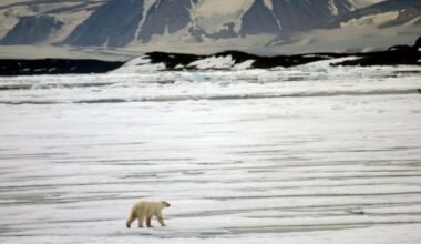Today, Svalbard is the warmest place in Norway