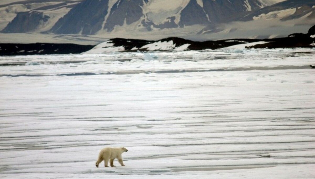 Today, Svalbard is the warmest place in Norway