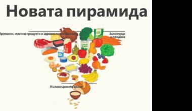 МАНА в САЩ и „свобода на пазара“ за вредни храни в България