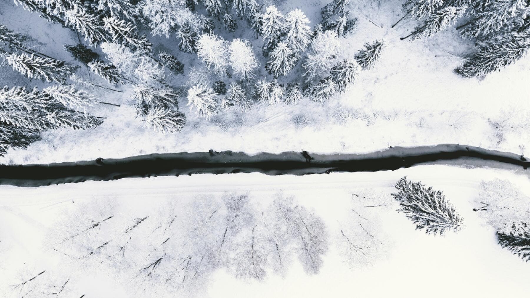 Hydrogen rush, chapter 2 — Finland went looking for freedom from Russian gas and found "the new oil"