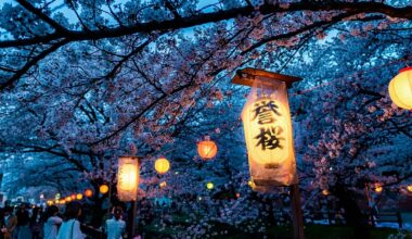 This year could be a surprisingly affordable time to see Japan’s cherry blossoms