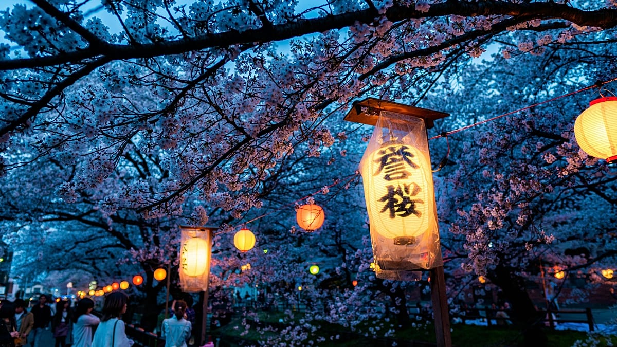 This year could be a surprisingly affordable time to see Japan’s cherry blossoms