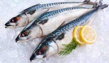 Korea’s Everyday Mackerel Faces Shortage as Norway Slashes Catch