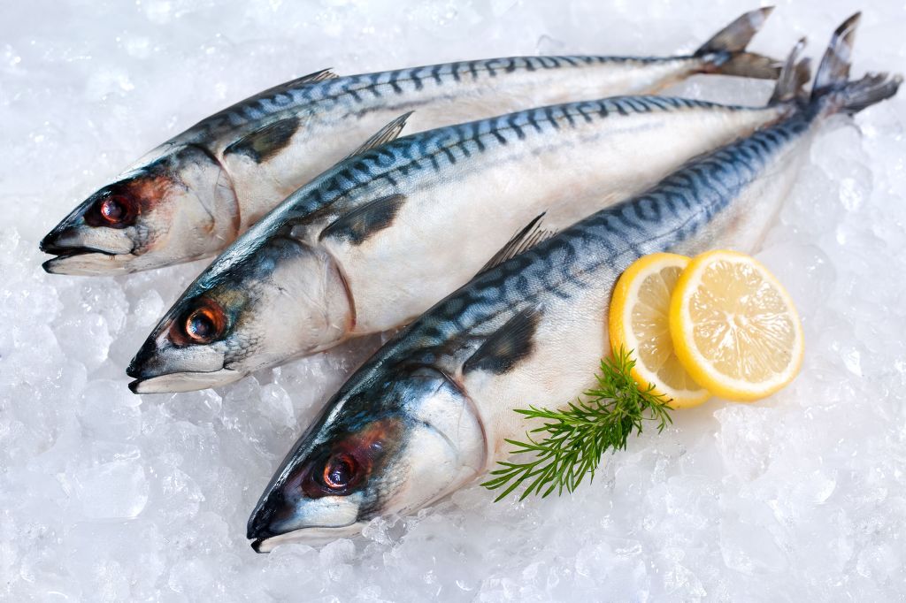 Korea’s Everyday Mackerel Faces Shortage as Norway Slashes Catch