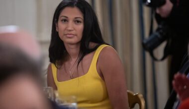 Denmark rankles at MAGA post on Greenland after Trump’s Venezuela operation – POLITICO