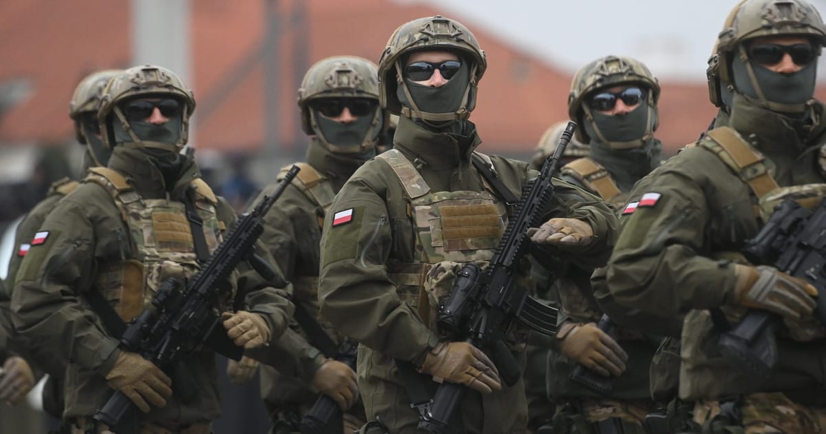 EU may need 100,000-strong army, says defense commissioner – POLITICO