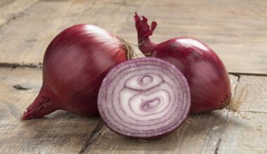 Azerbaijan's onion exports to Belarus rise by 36 times