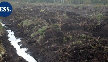 Pääkirjoitus | Suo siellä, toinen täällä – luonnonsuojelusta apua puolustukseen? | Pääkirjoitus & mielipide