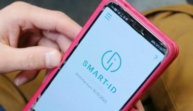 Kelmid petsid mullu Eesti inimestelt välja 29 miljonit eurot