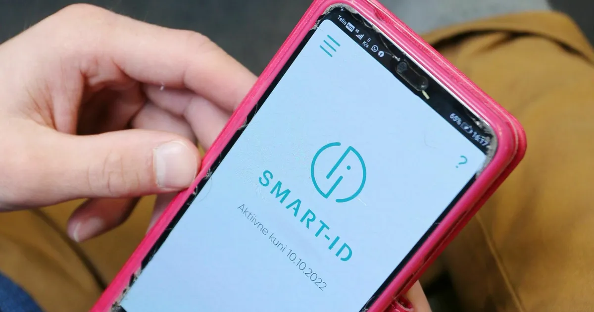 Kelmid petsid mullu Eesti inimestelt välja 29 miljonit eurot