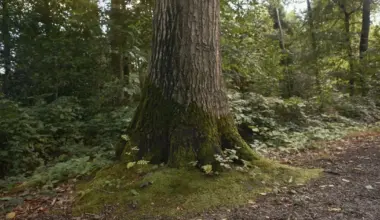 EU ESG wrap-up: concluding 2025 and stepping into 2026