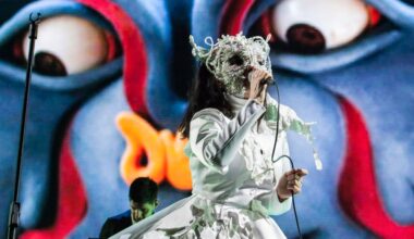 Record Store In Denmark Boycotts Björk