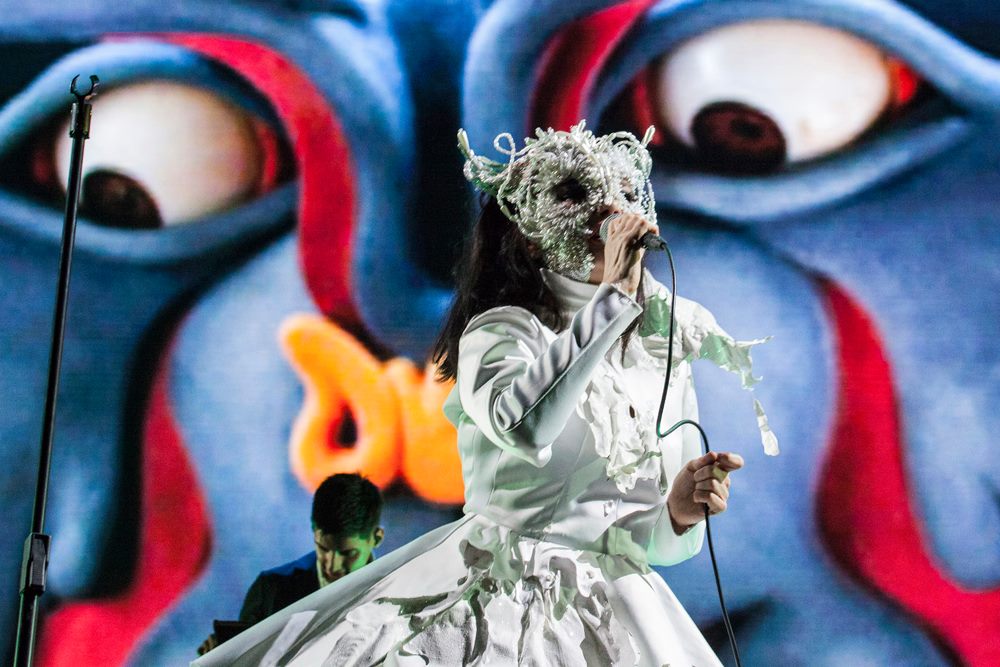 Record Store In Denmark Boycotts Björk