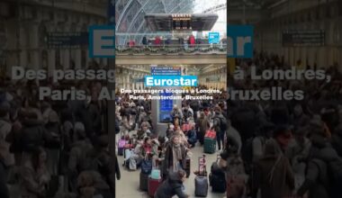 Londres, Paris, Amsterdam et Bruxelles : passagers de l'Eurostar bloqués • FRANCE 24