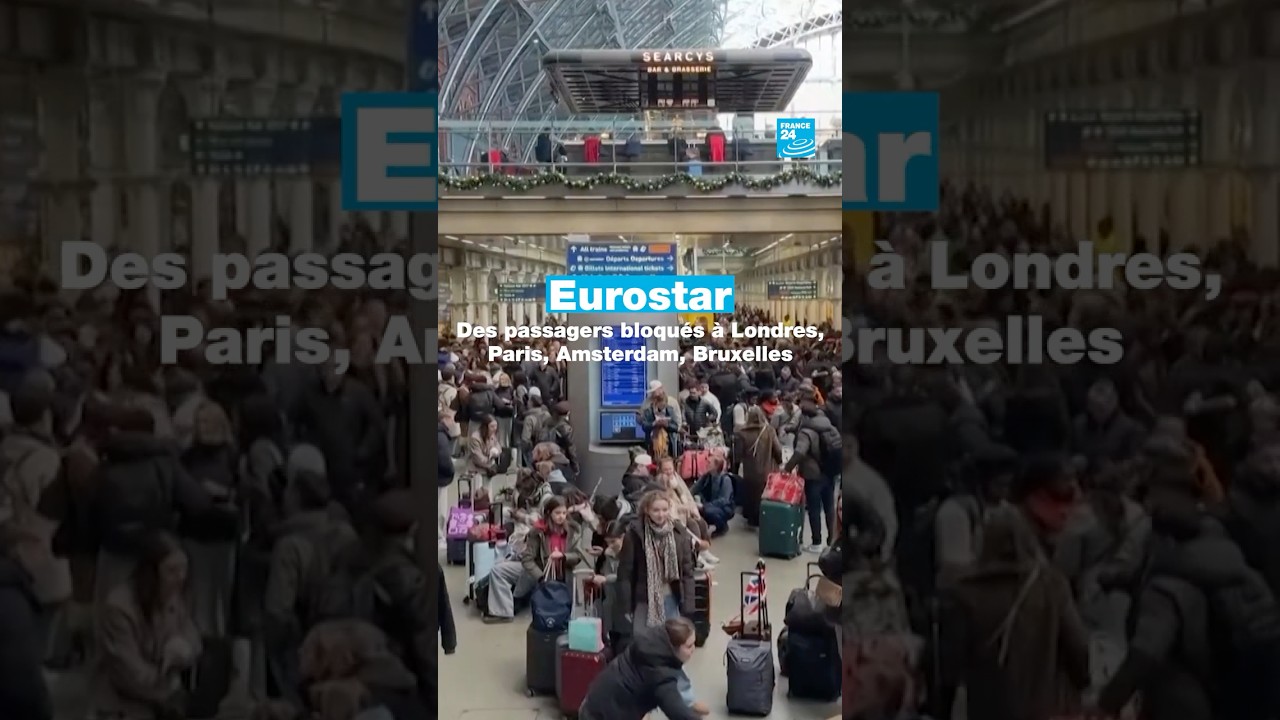 Londres, Paris, Amsterdam et Bruxelles : passagers de l'Eurostar bloqués • FRANCE 24