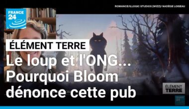 Le loup et l'ONG... Pourquoi Bloom critique la pub de Noël d'Intermarché ? • FRANCE 24