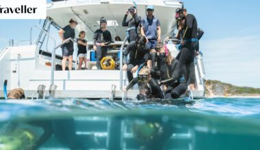 Perth Wildlife Encounters review – the dolphins enjoy it as much as you