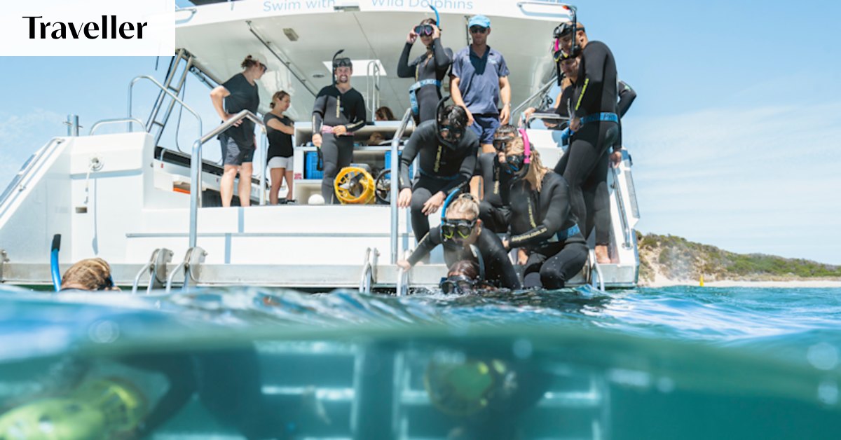 Perth Wildlife Encounters review – the dolphins enjoy it as much as you