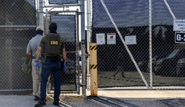 Ex-ICE officer pleads guilty to sexually abusing immigrant in custody