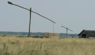 Hungary's Famous Thermal Baths Are Saving the Country's Famous Grasslands from Desertification