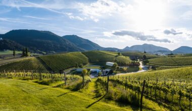 Konjiške Škalce na evropski turistični zemljevid?