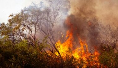 Top 10 climate disasters in 2025 cost a combined $122 billion in damages