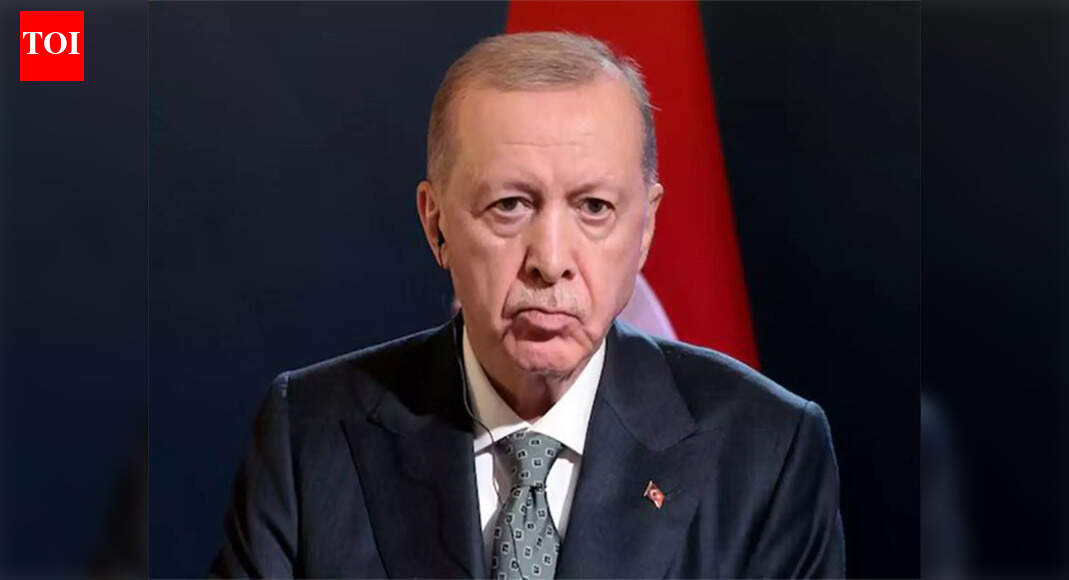 Turkey's Erdogan hails 2.6 billion euro jet deal with Spain