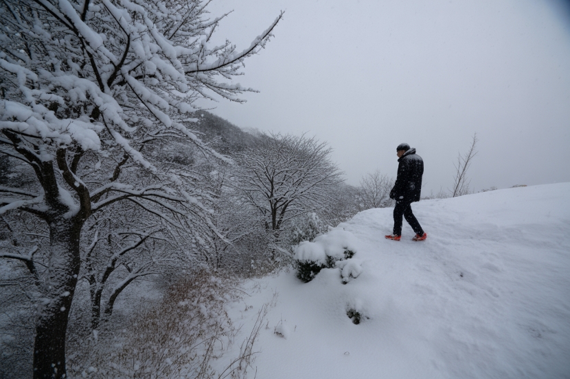 Heavy Snowstorm Disrupts Travel in Eastern and Northern Japan: Government Issues Ongoing Alerts as Snow Depths Surge, Roads Freeze, and Winter Chaos Grips Major Destinations